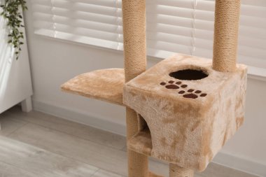 Oturma odasında şık kedi ağacı, yakın plan.