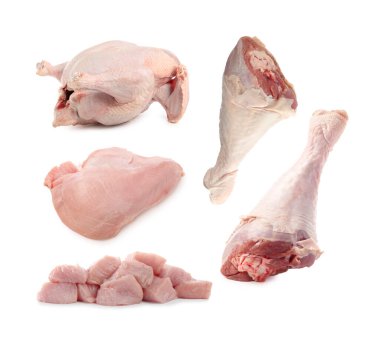 Beyazlara ayrılmış taze çiğ hindi eti.