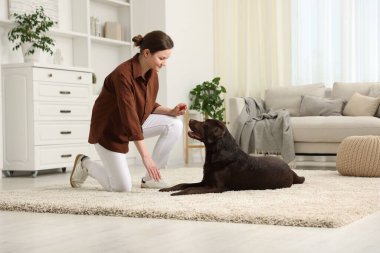 Güzel bir kadın köpeğini evde eğitiyor.