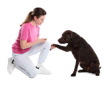 Köpeğini beyaz arka planda eğiten kadın.