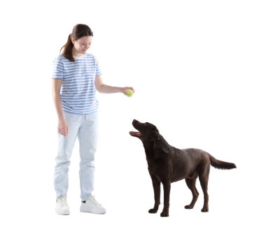 Köpeğini beyaz arka planda eğiten oyuncağı olan mutlu kadın.