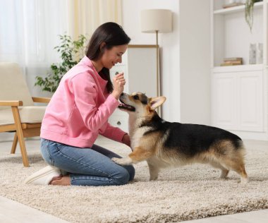 Mutlu kadın köpeğini evde eğitiyor.