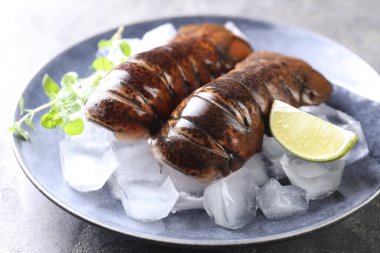 Çiğ ıstakoz kuyruğu, mikro yeşillikler, yeşil masada limon ve buz, yakın plan.