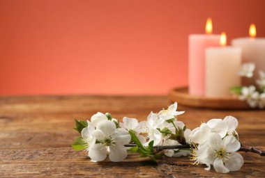 Güzel çiçekli dal ve mercan arka planına karşı ahşap masada yanan mumlar, seçici bir odak. Metin için boşluk
