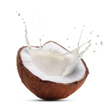 Beyaz arka planda fındıktan taze hindistan cevizi sütü fışkırıyor.