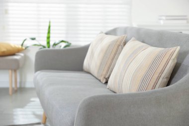 Odadaki kanepede yumuşak dekoratif yastıklar.