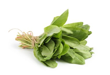 Bir demet taze yeşil kuş yaprakları beyaz üzerinde izole.