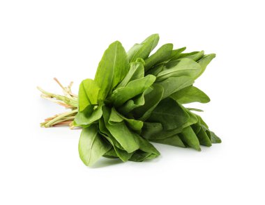 Bir demet taze yeşil kuş yaprakları beyaz üzerinde izole.