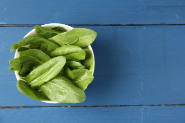 Mavi ahşap masadaki kasede taze yeşil kuş yaprakları, üst manzara. Metin için boşluk