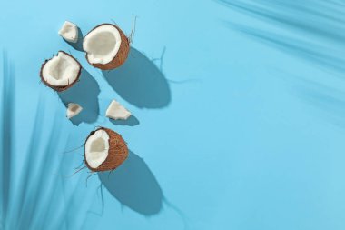 Taze hindistan cevizleri ve açık mavi arka planda tropikal palmiyelerin oluşturduğu gölgeler. Metin için boşluk