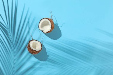 Açık mavi arka planda tropikal palmiye ağacından taze hindistan cevizi ve gölge, üst manzara. Metin için boşluk