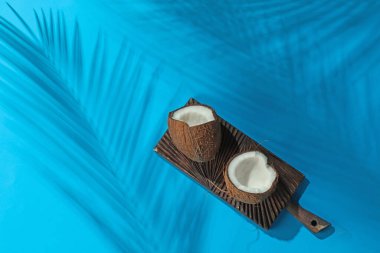 Açık mavi arka planda tropikal palmiye ağacından taze hindistan cevizi ve gölge, üst manzara. Metin için boşluk