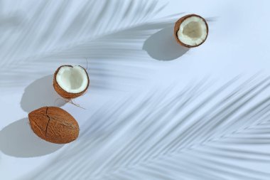 Taze hindistan cevizleri ve açık gri arka planda tropikal palmiyelerin oluşturduğu gölgeler düzleşir. Metin için boşluk