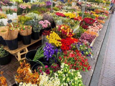 Çiçekçide çeşitli güzel çiçekler var.