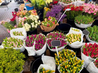 Çiçekçide çeşitli güzel çiçekler var, manzaranın üstünde.