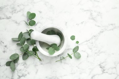 Güzel okaliptüs dalları, beyaz mermer zemin üzerinde havan ve tokmak, üst manzara