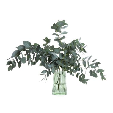 Beyaz vazodaki güzel okaliptüs dalları