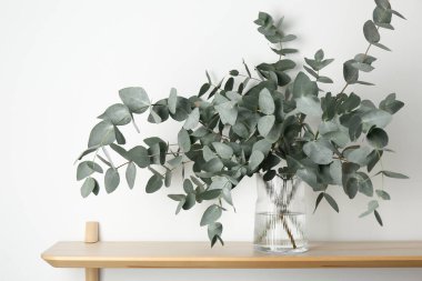 Güzel okaliptüs dalları vazoda beyaz duvarın yanındaki ahşap masada.
