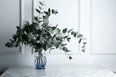 Yeşil okaliptüs vazoda, beyaz duvarın yanındaki mermer masada, metin için yer var.