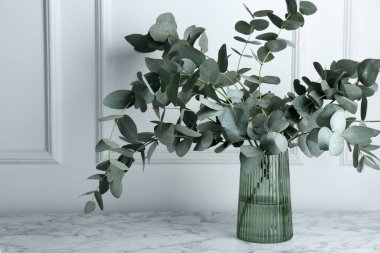 Beyaz duvarın yanındaki mermer masada vazoda yeşil okaliptüs dalları var.