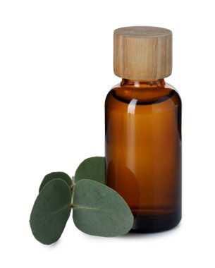 Beyaz üzerine izole edilmiş bir şişe yağ ve okaliptüs yaprakları.