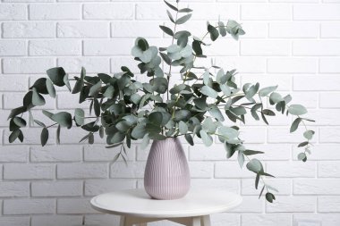 Beyaz tuğla duvarın yanındaki masada vazoda yeşil okaliptüs dalları var.