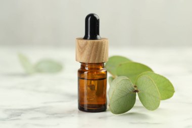 Gerekli yağ ve okaliptüs yaprakları beyaz mermer masanın üzerinde, yakın plan.