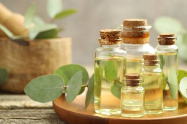 Kaliteli yağ ve okaliptüs yaprakları ahşap masada, yakın plan.