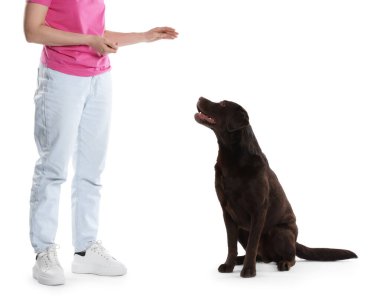 Köpeğini beyaz arka planda eğiten kadın, yakın plan.