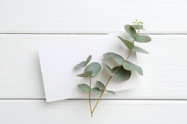 Beyaz ahşap masa üzerinde boş kart ve okaliptüs dalları.