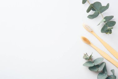 Bambu diş fırçaları ve okaliptüs dalları beyaz arka planda, düz yerde. Metin için boşluk