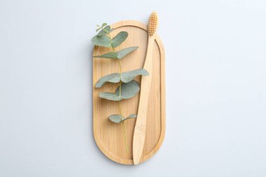 Bambu diş fırçası ve okaliptüs beyaz arka plan, üst görünüm