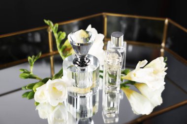 Siyah arka plan karşısında şık tepside aromalı parfüm şişeleri ve çiçekler.