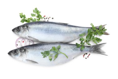 Beyaz zemin üzerinde tuzlu ringa balıkları ve baharatlar, üst görünüm