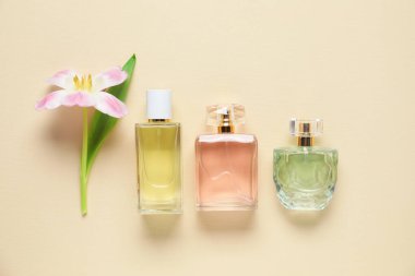 Parfüm şişeleri ve bej arka planda güzel çiçekler.