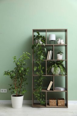 Kapalı alandaki yeşil duvarın yanında ev bitkileri ve diğer dekorlarla raf ünitesi.