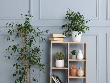 Ev bitkileri ve gri duvarın yanındaki diğer dekorları rafa kaldırıyorum.