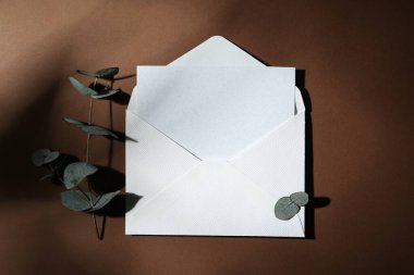 Zarftaki boş tebrik kartı ve kahverengi arkaplanda okaliptüs yaprakları, düz uzanma