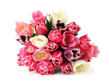 Beyaz izole güzel Lale buketi