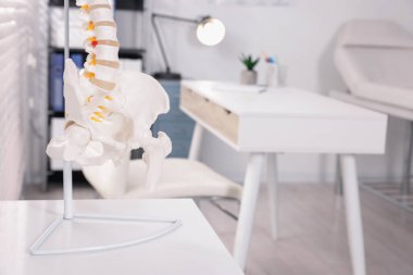 Klinikteki insan omurga modeli, yakın plan. Metin için boşluk