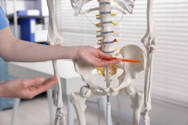 Doktor klinikteki insan iskeleti parçalarına işaret ediyor.