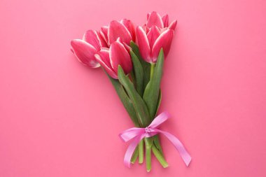 Pembe arka planda güzel laleler, üst manzara.