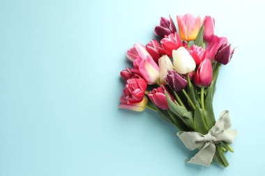 Açık mavi arka planda güzel laleler, üst manzara. Metin için boşluk