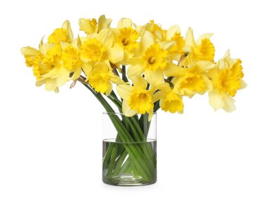 Beyaz vazodaki sarı nergisler