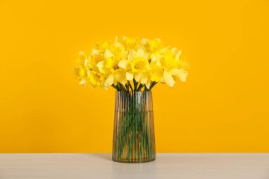 Sarı arka planda beyaz masadaki vazodaki güzel nergisler