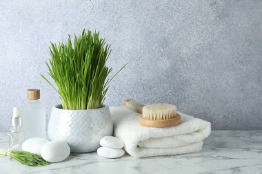 Spa composition with wheatgrass on white marble table. Space for text