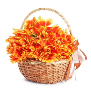 Hasır sepetteki güzel laleler bembeyaz