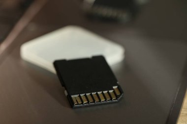 SD hafıza kartı ve dizüstü bilgisayarda sahibi, yakın plan