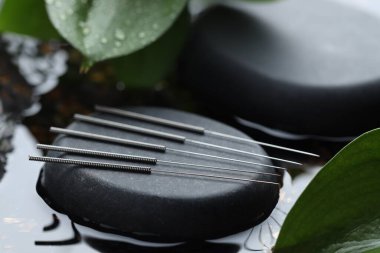 Akupunktur iğneleri, spa taşı ve suda ıslak yaprak, yakın çekim.