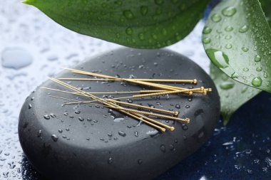 Akupunktur iğneleri, ıslak kaplıca taşı ve mavi tepside yapraklar, yakın çekim.